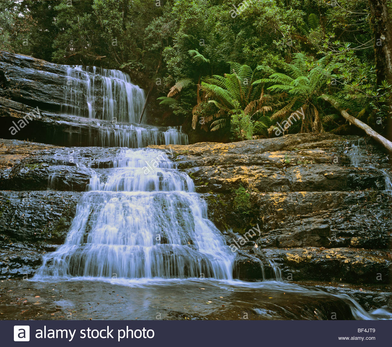 Best Lady Barron Waterfall