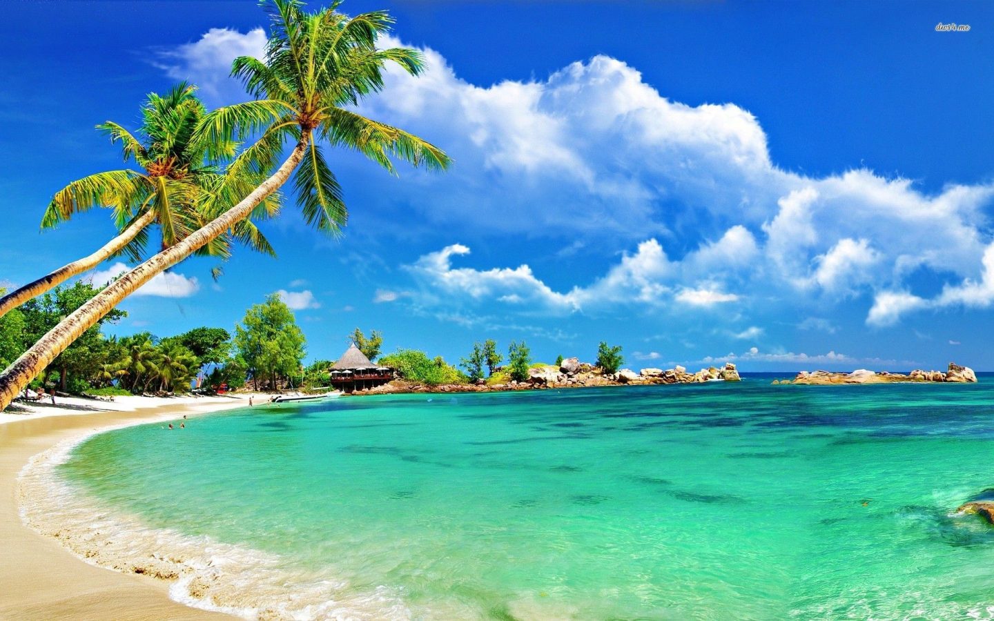 Wonderful Tropical Beach