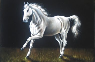 Nice White Horse