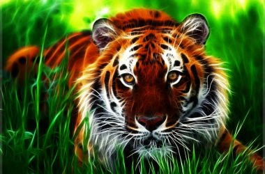 Digital Tiger Wallpaper