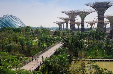 Awesome Gardens by the Bay
