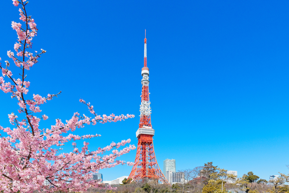 Stunning Tokyo Tower