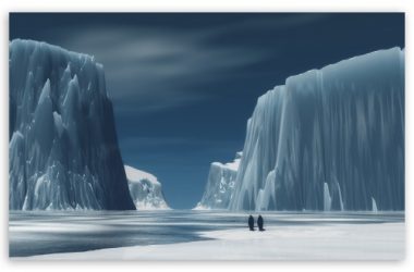 Lovely Antarctica Wallpaper