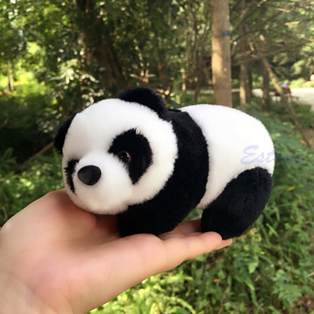 Nice Cute Panda