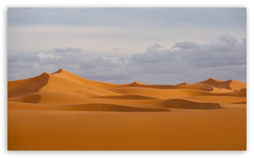 Nice Desert Wallpaper