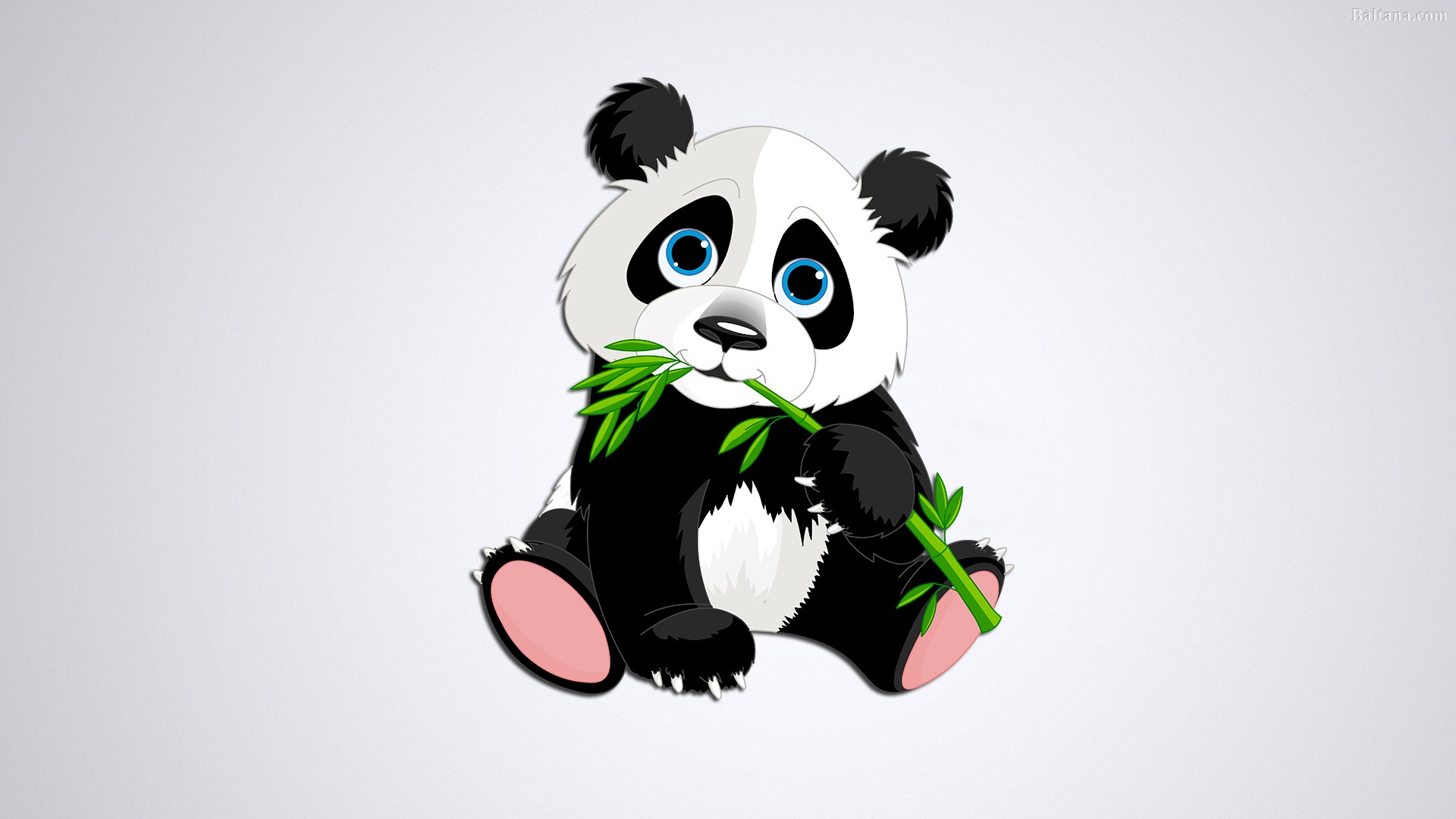 3D Panda Wallpaper
