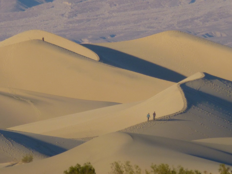Natural Sand Dunes