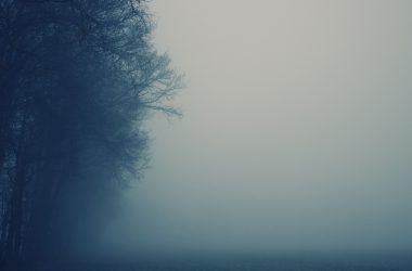 Landscape Fog Wallpaper