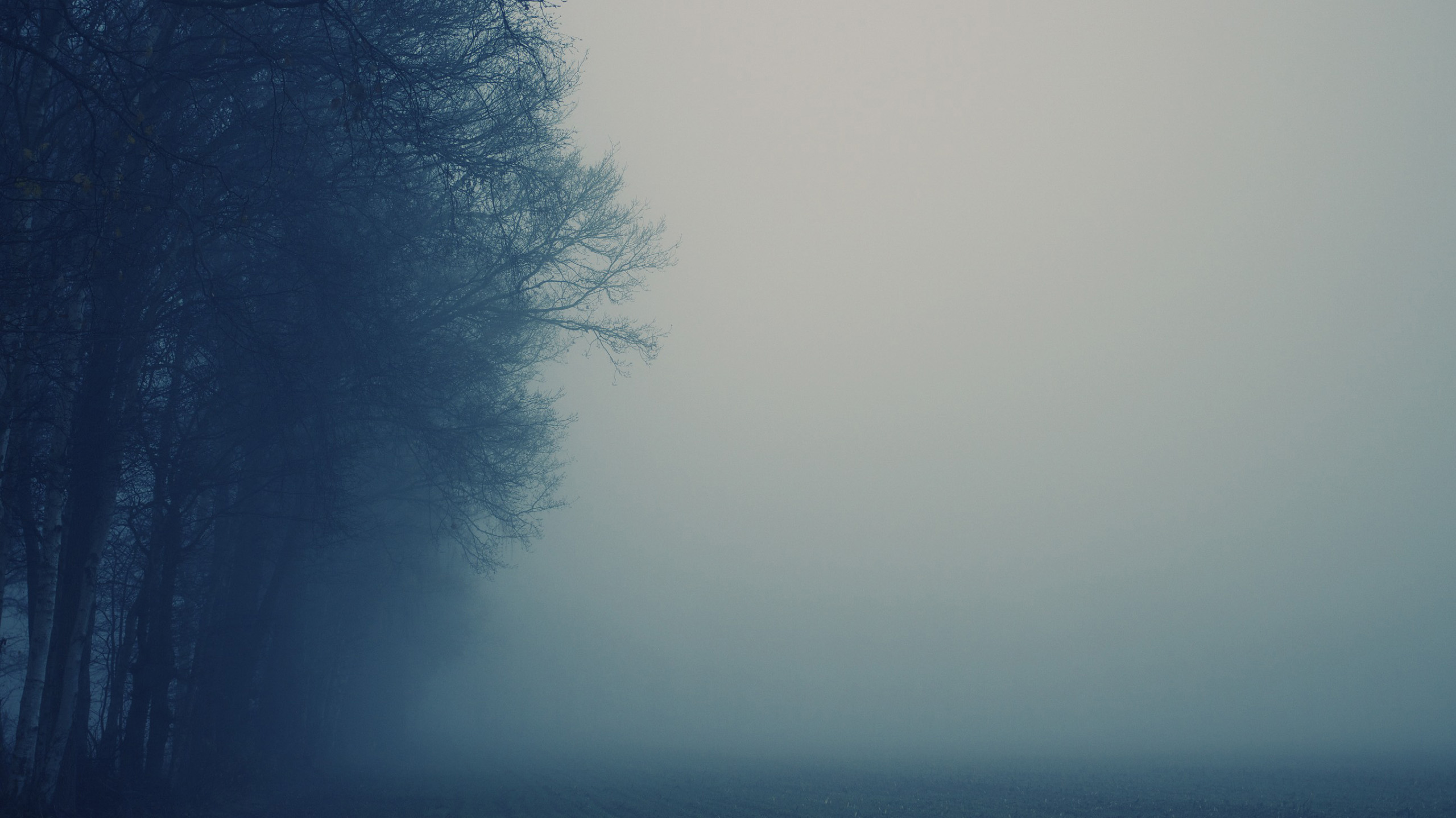 Landscape Fog Wallpaper