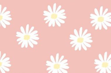 Flower Cute Background