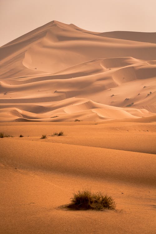 Beautiful Desert Image