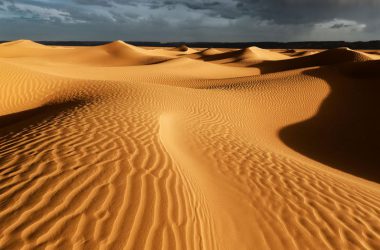 Top Desert Image
