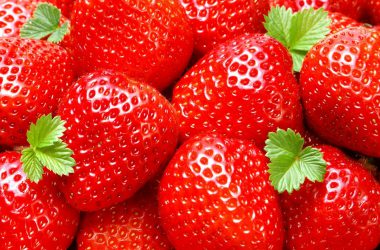 Strawberry Fruit Wallpaper