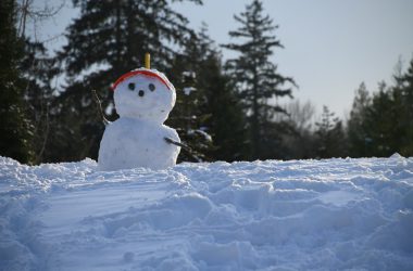 Best Snowman Image