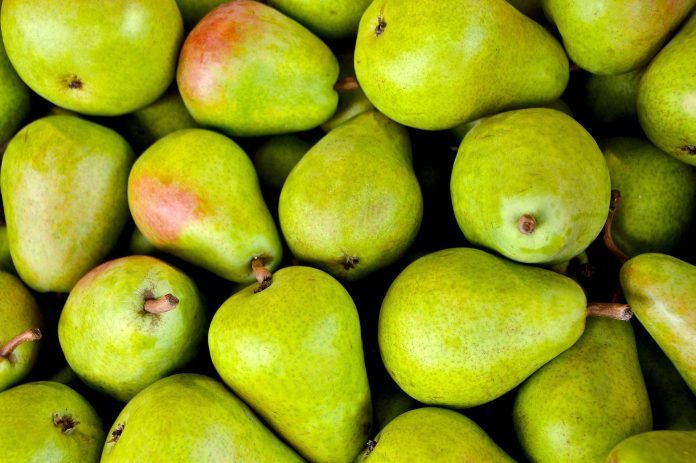 Green Pear Fruit