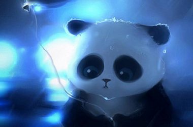 Top Panda Wallpaper