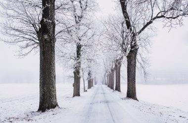 Awesome Winter Wallpaper