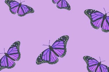 Widescreen Violet Wallpaper