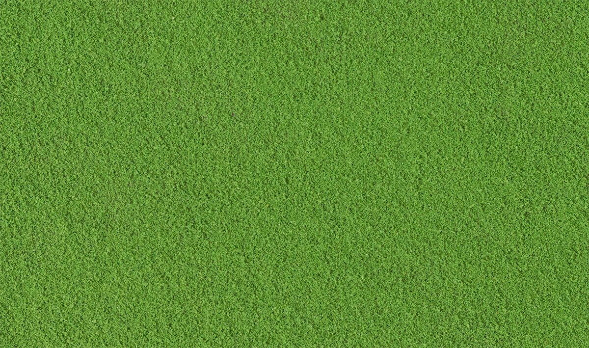 Best Green Grass
