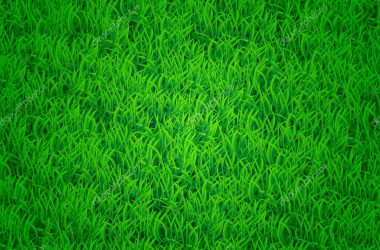 Super Green Grass