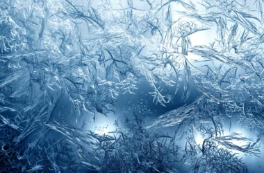 Widecreen Frost Wallpaper