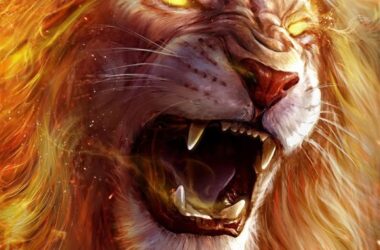 Best Lion Wallpaper