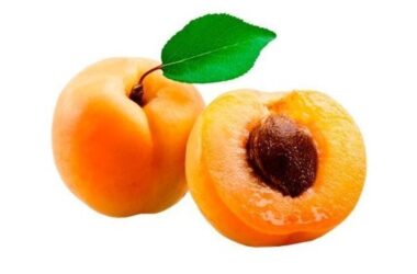 Cool Apricot