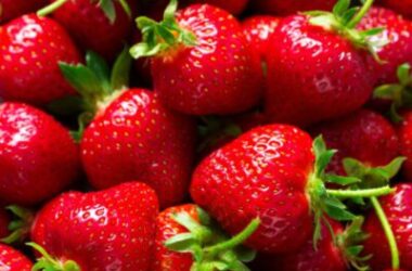 Top Strawberry 36818