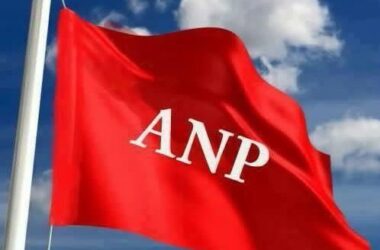 Best ANP Flag 37501