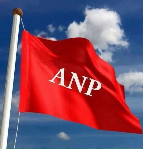 Best ANP Flag