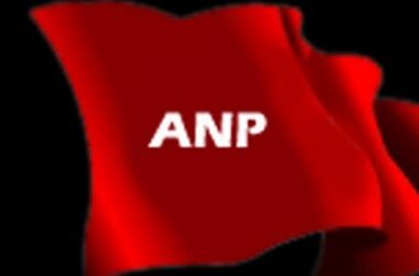 Super ANP Flag