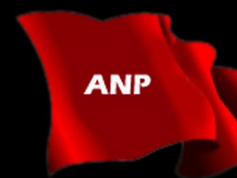 Super ANP Flag