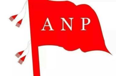 Top ANP Flag 37504