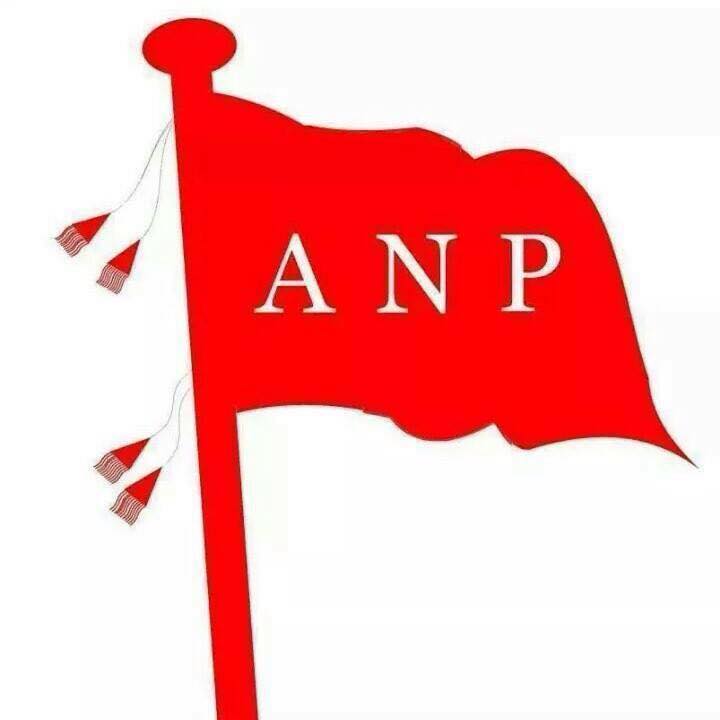 Top ANP Flag